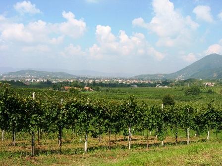 Vedute di Vo'