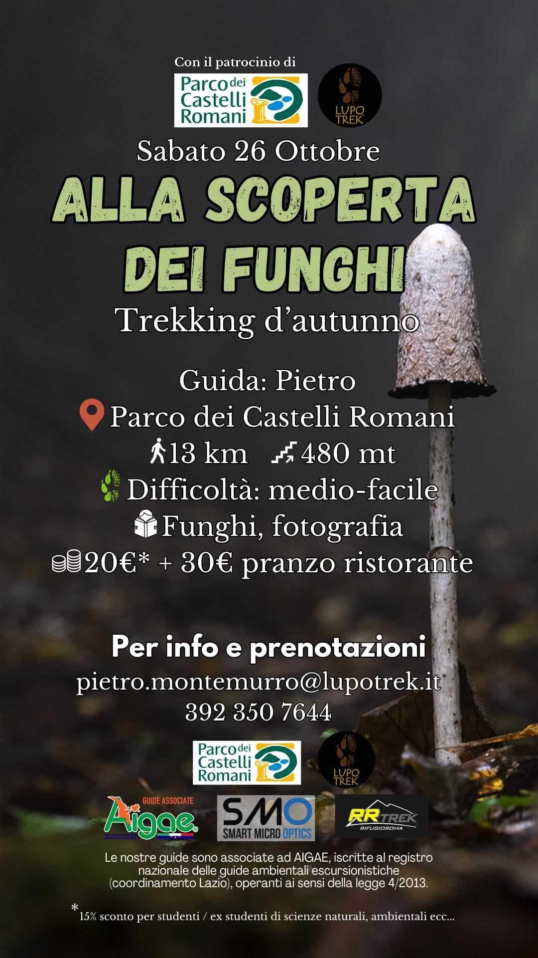 Alla scoperta dei funghi