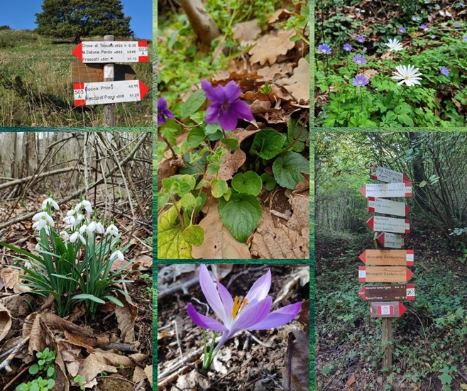 Il lento risveglio della natura nel Parco