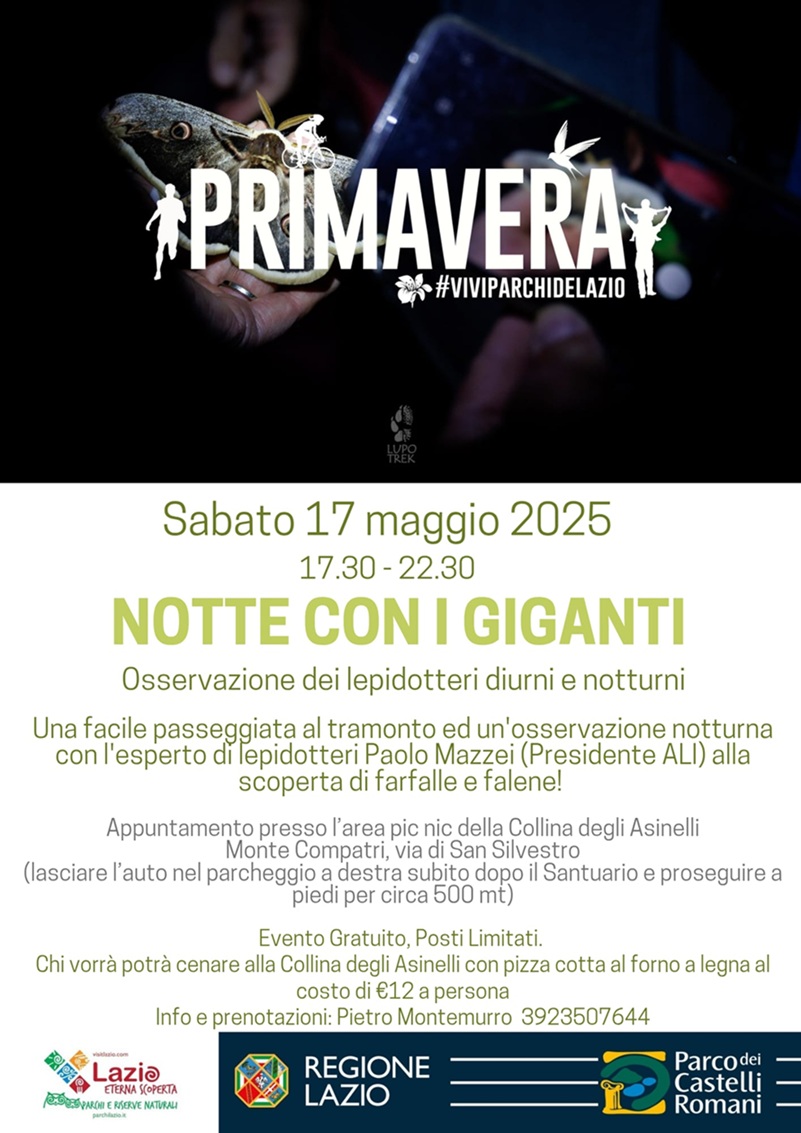 Notte con i Giganti