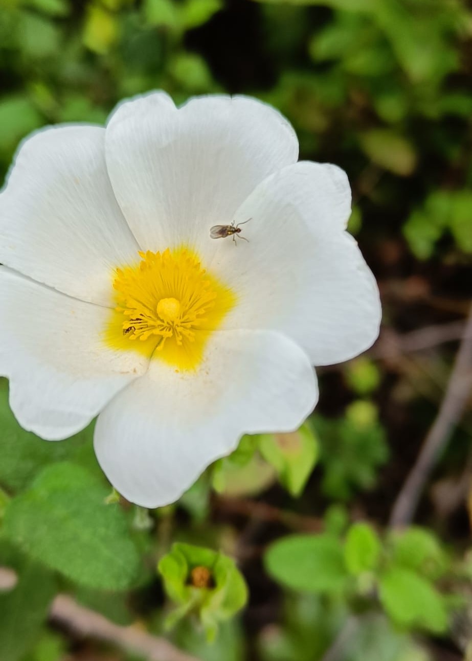Una settimana dedicata alla natura