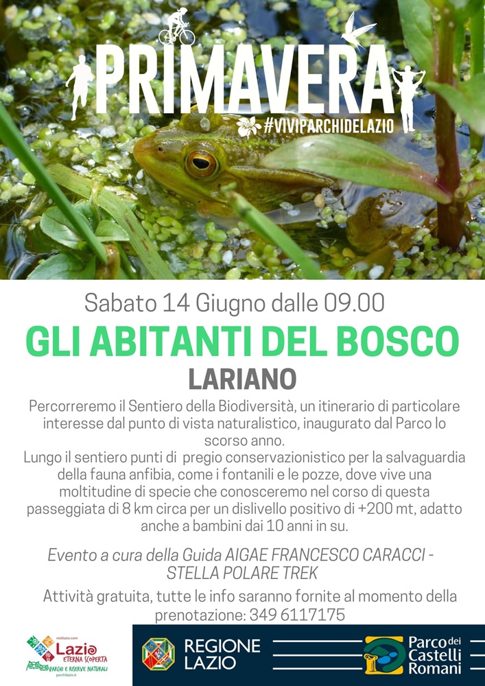 Gli Abitanti del Bosco