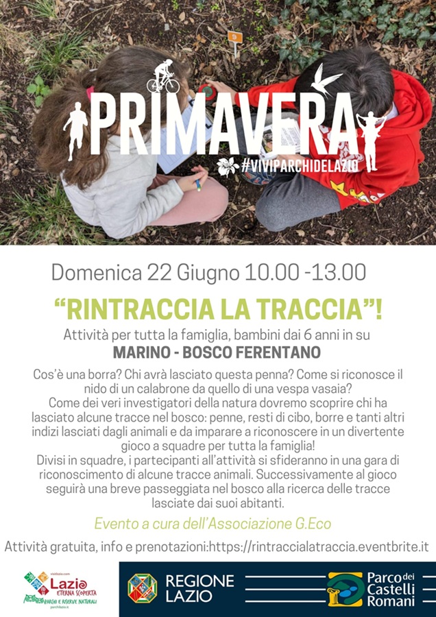 Rintraccia la Traccia