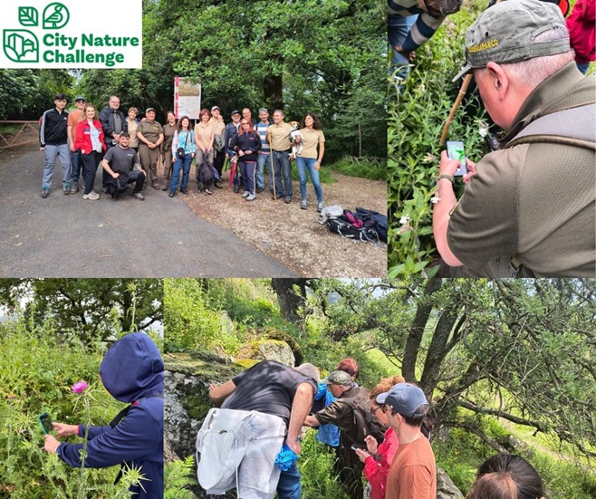 City Nature Challenge 2025