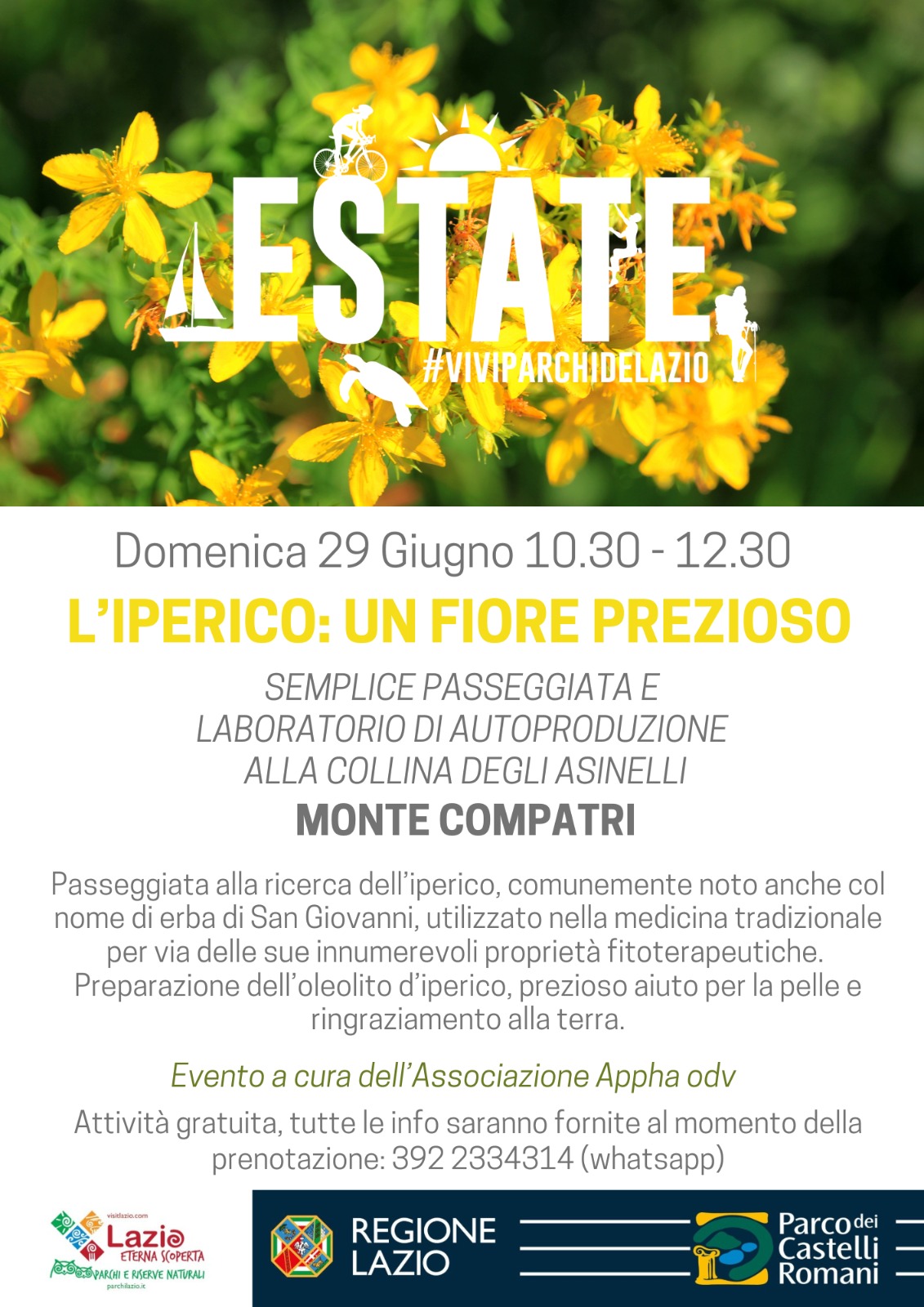 L'iperico: un fiore prezioso