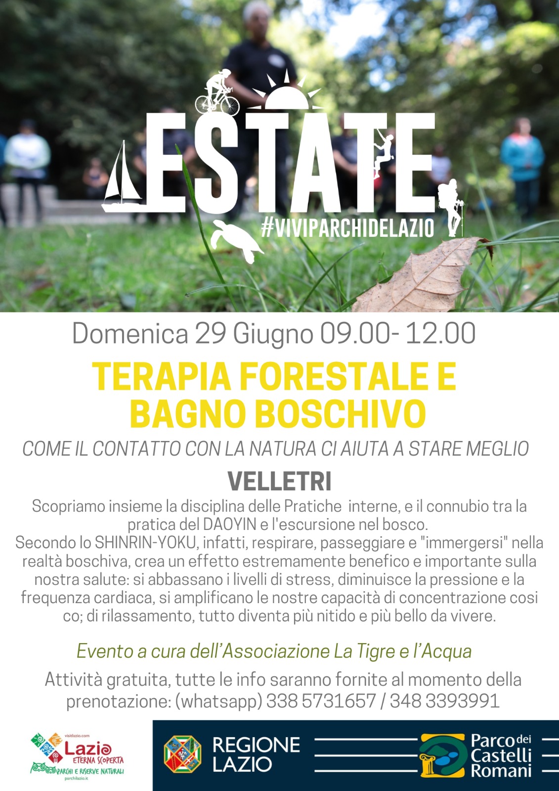 Terapia forestale e bagno boschivo