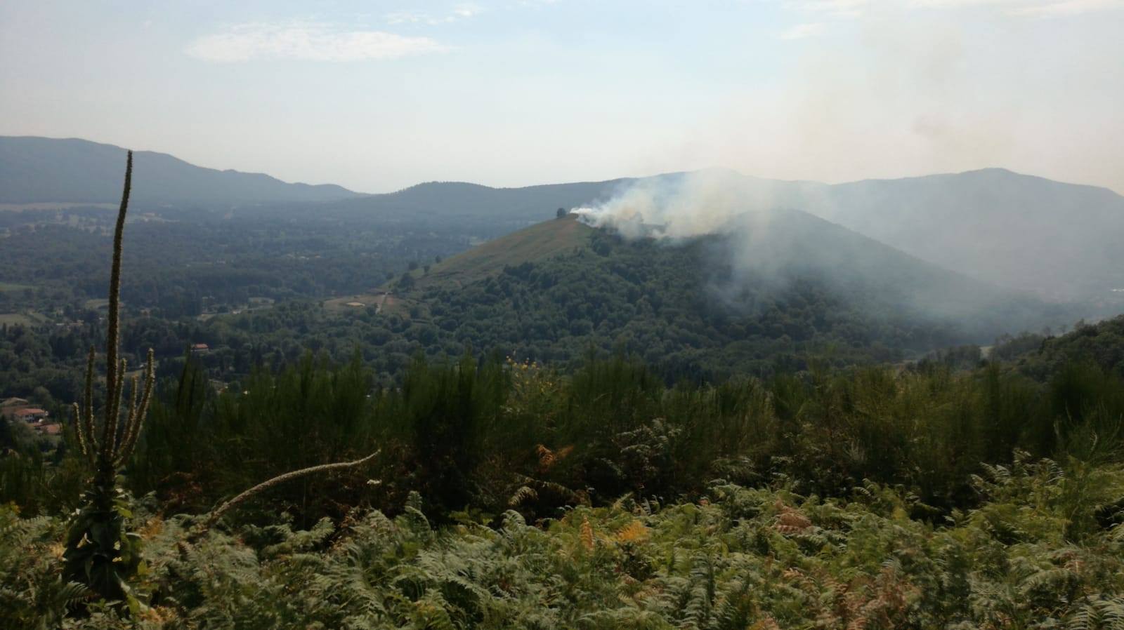 Incendi boschivi, come comportarsi