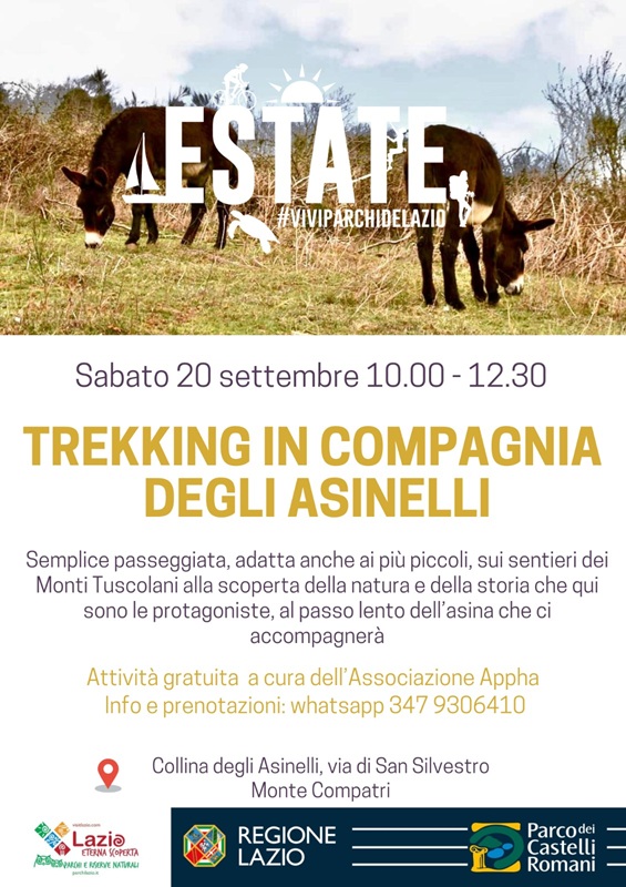 Trekking in compagnia degli asinelli