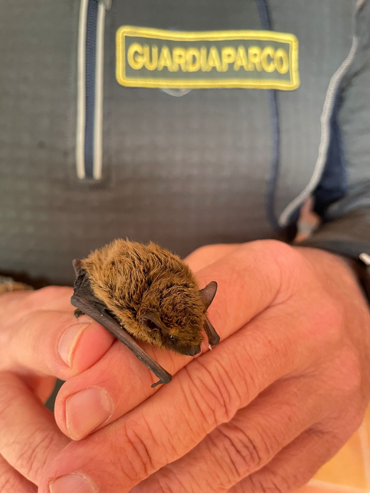 Chiusura dell’Emissario del lago di Nemi