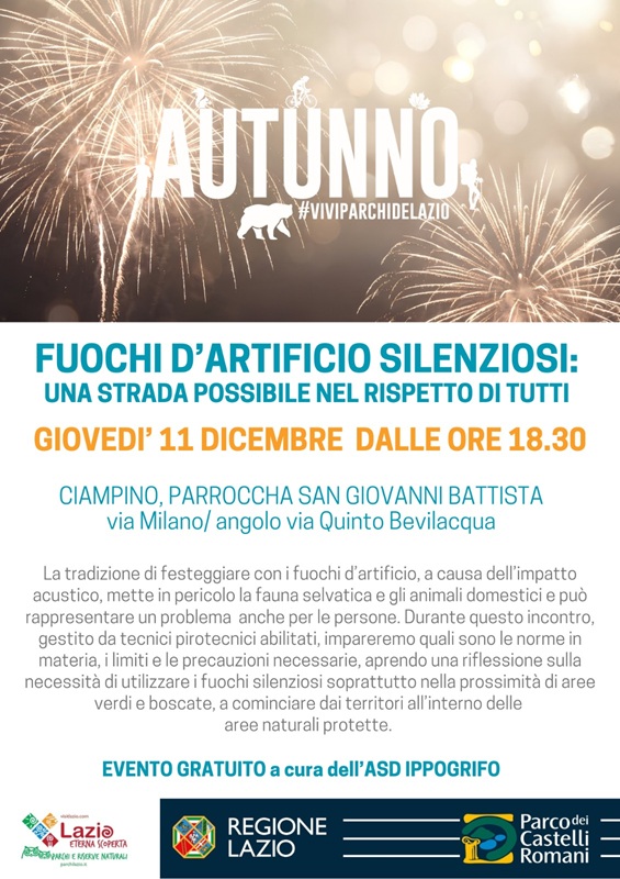 Fuochi d’artificio silenziosi