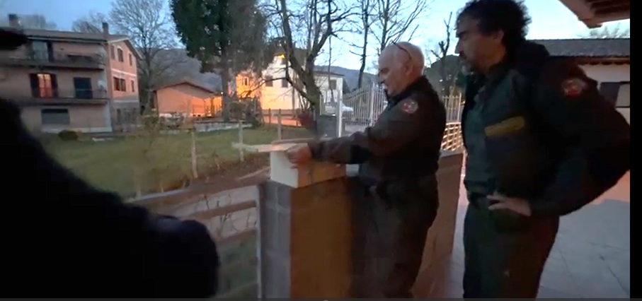 Una civetta torna libera nel Parco dei Castelli Romani