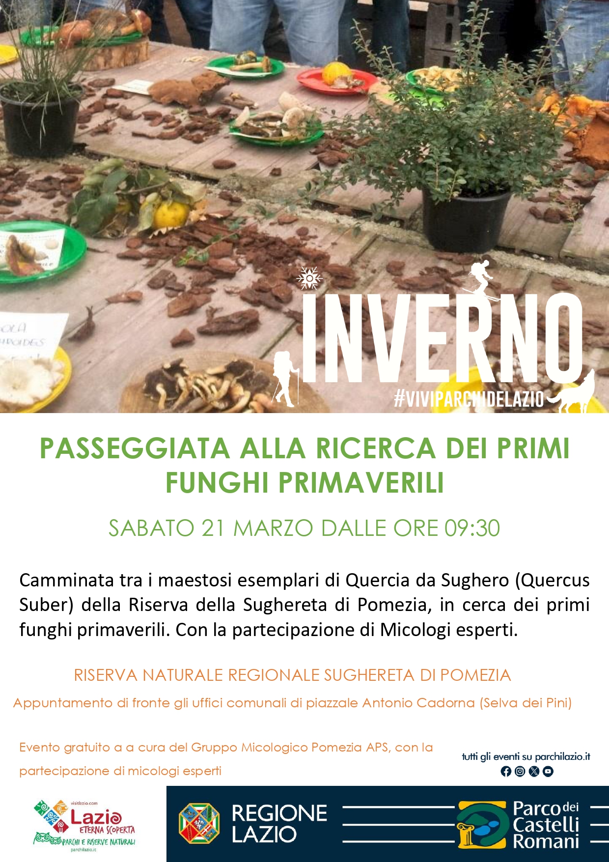 Passeggiata alla ricerca dei primi funghi primaverili